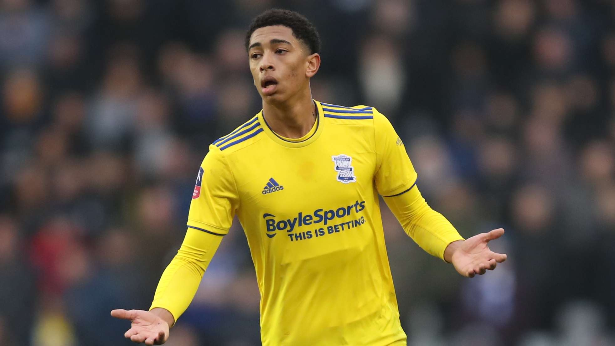 成为了目前 成为了目前