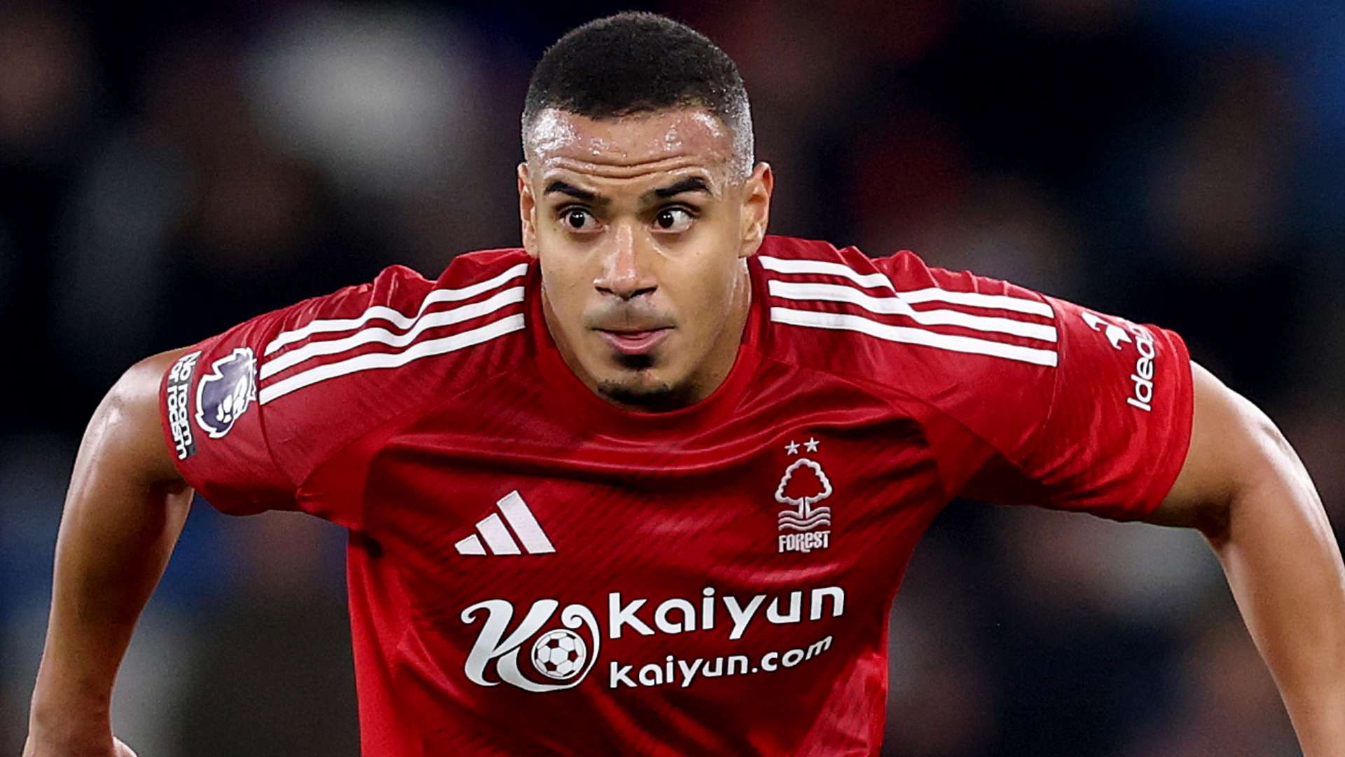 的吸引力 的吸引力