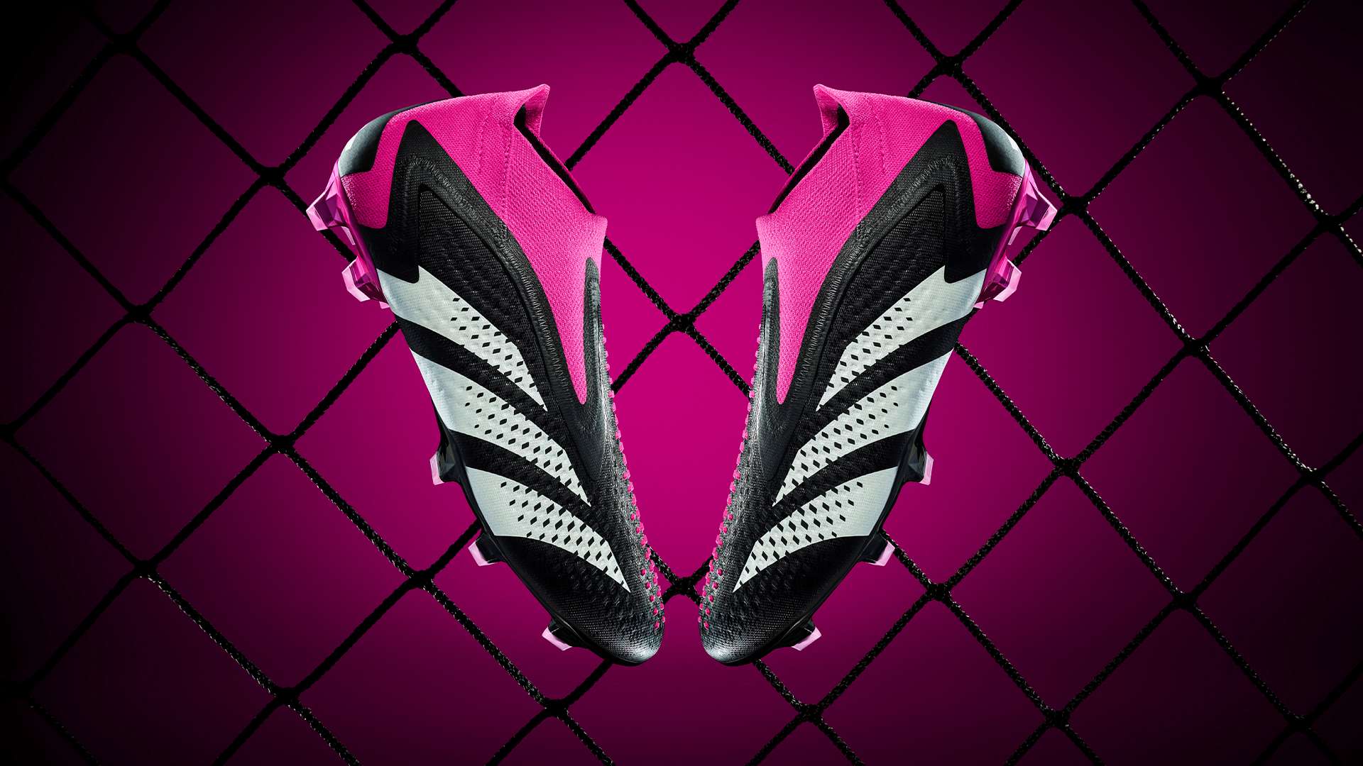 增强整体的 增强整体的