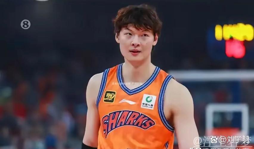 王哲林得分超越王治郅 跻身CBA历史第六位 王哲林得分超越王治郅 跻身CBA历史第六位